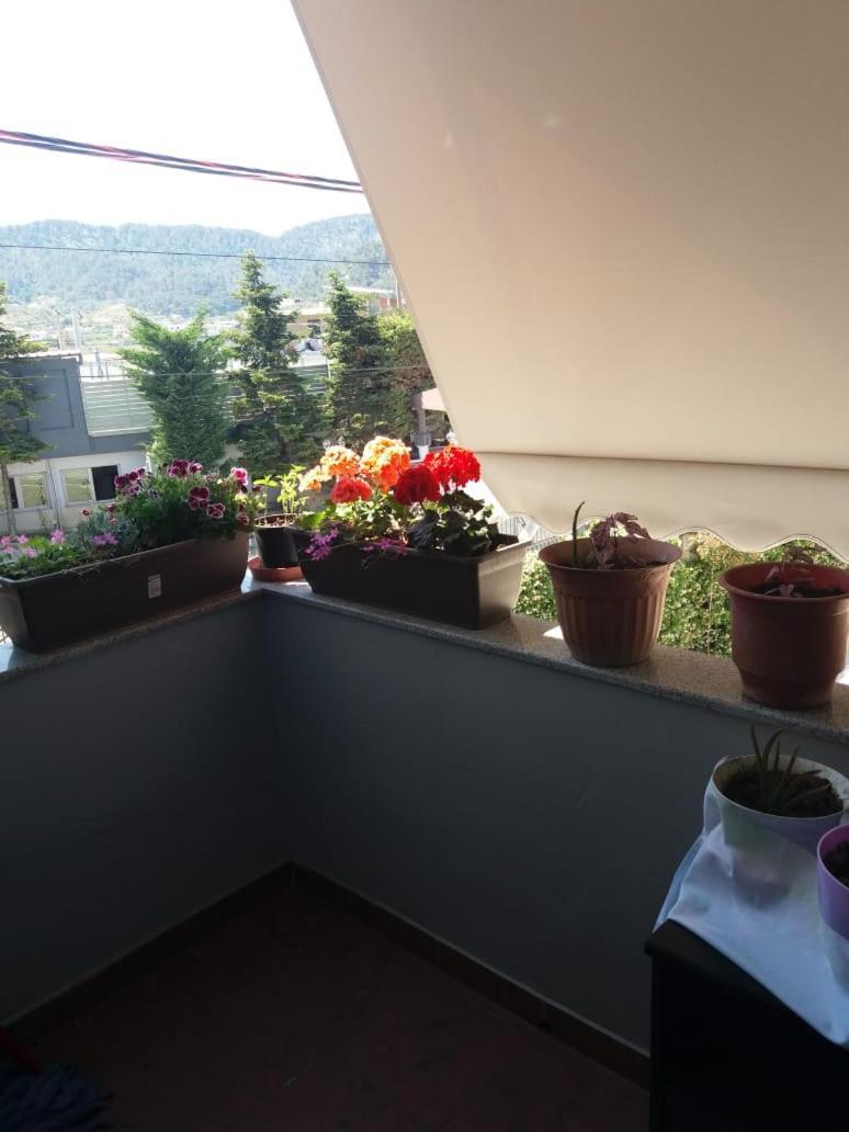 Luander Hotel Tirana Room photo